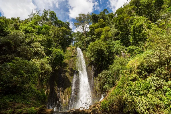 Kosta Rika Daki Yeşil Ormanda Küçük Güzel Bir Şelale Orta — Stok fotoğraf