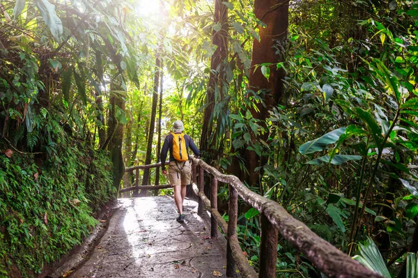 Wandelen Groene Tropische Jungle Costa Rica Midden Amerika — Stockfoto