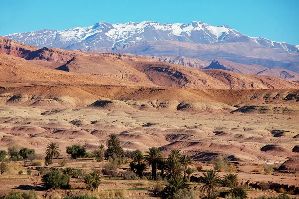Atlas Mountain Landskap Marocko — Stockfoto