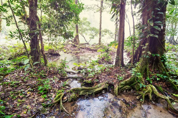 Όμορφες Φυσικές Πισίνες Semuc Champey Lanquin Γουατεμάλα Κεντρική Αμερική — Φωτογραφία Αρχείου