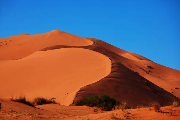 Dunas Areia Cênicas Deserto — Fotografia de Stock