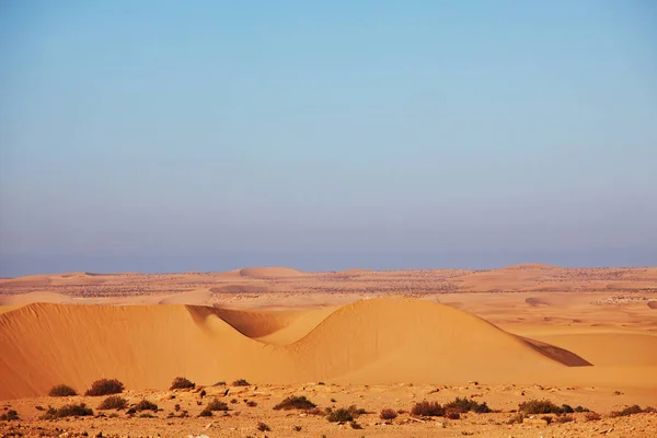 Landschappelijke Zandduinen Woestijn — Stockfoto