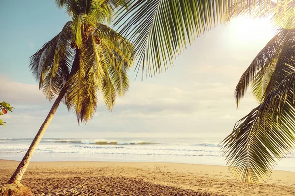 Beautiful Tropical Pacific Ocean Coast Costa Rica — Stock Photo, Image