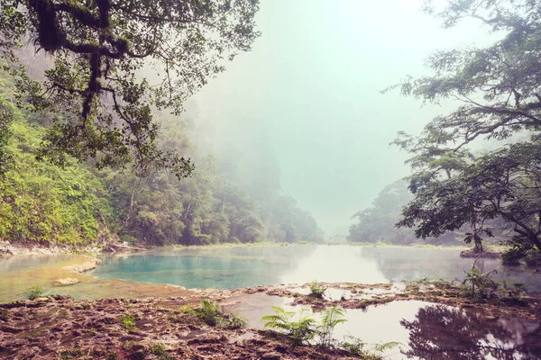 中美洲危地马拉兰金Semuc Champey美丽的天然游泳池 — 图库照片