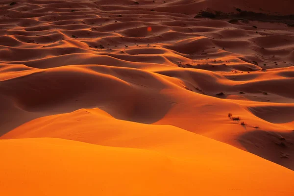 Sahara Çöl Doğa Manzara — Stok fotoğraf