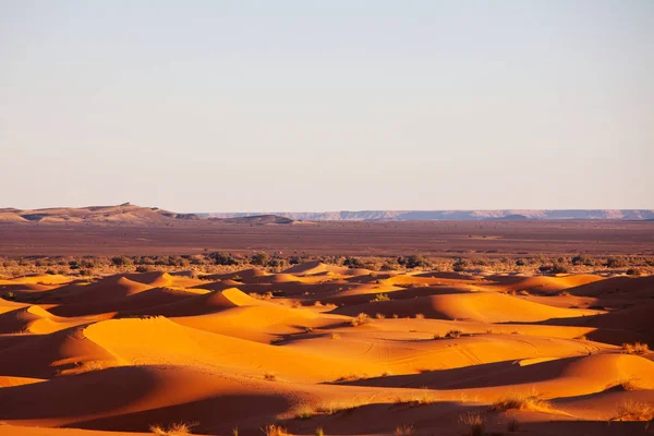 Dunes Sable Pittoresques Dans Désert — Photo