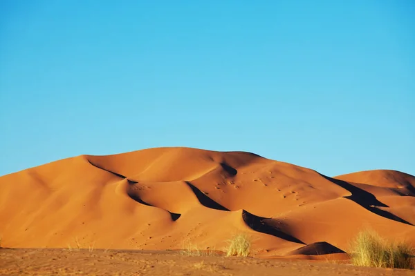 Sahara Pouštní Přírodní Krajina — Stock fotografie