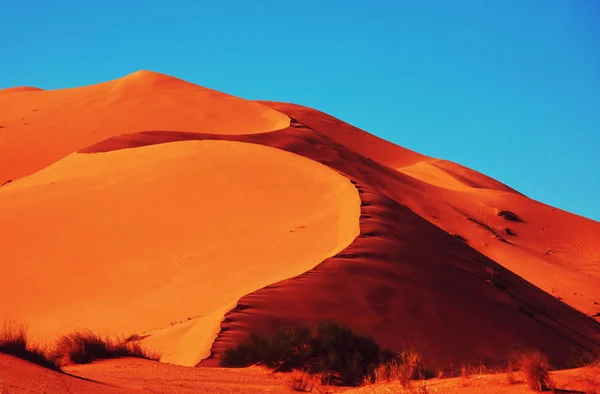 Dune Sabbia Sceniche Nel Deserto — Foto Stock