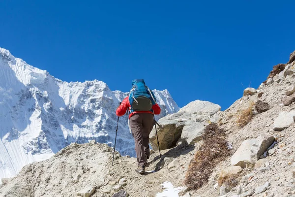 Caminante Montaña Del Himalaya Nepal —  Fotos de Stock