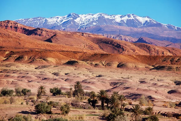 Montañas Atlas Marruecos —  Fotos de Stock