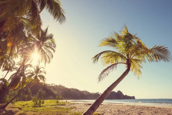 Vackra Tropiska Stilla Havskusten Costa Rica — Stockfoto
