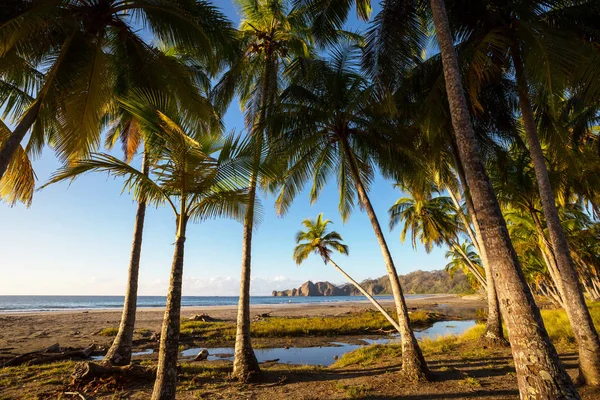 Prachtige Tropische Stille Oceaan Kust Costa Rica — Stockfoto