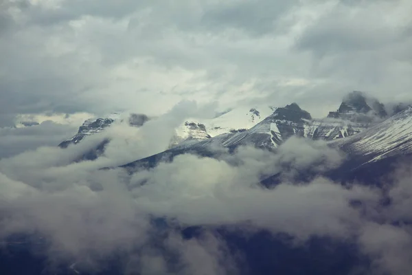 Γραφική Θέα Στο Βουνό Στο Canadian Rockies Κατά Θερινή Περίοδο — Φωτογραφία Αρχείου