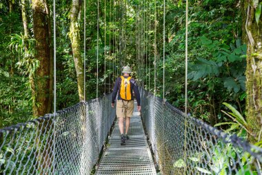 Yeşil tropikal ormanda yürüyüş, Kosta Rika, Orta Amerika