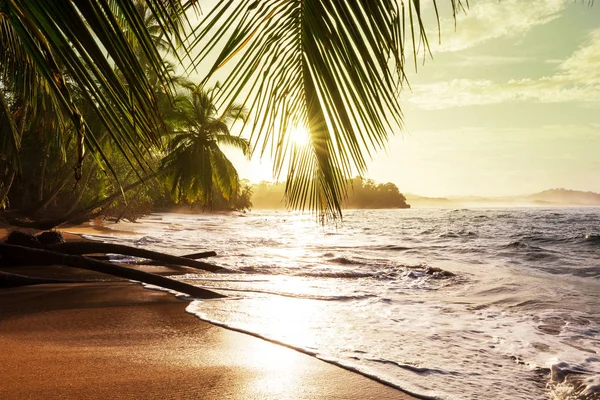 Bela Costa Tropical Oceano Pacífico Costa Rica — Fotografia de Stock