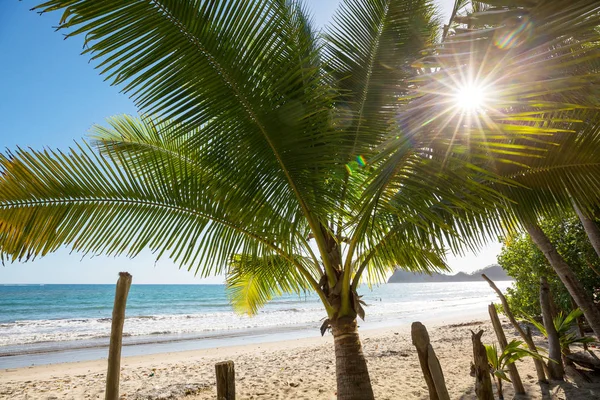 Serenidad Playa Tropical — Foto de Stock