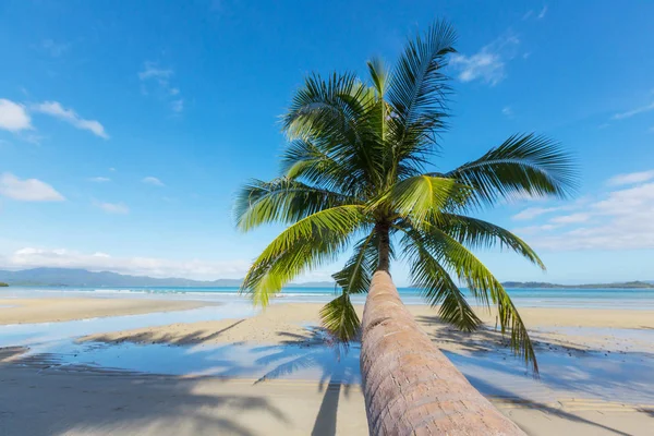 Serenidad Playa Tropical — Foto de Stock