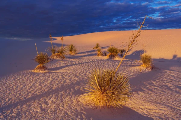 Unusual White Sand Dunes White Sands National Monument New Mexico — Stock Photo, Image