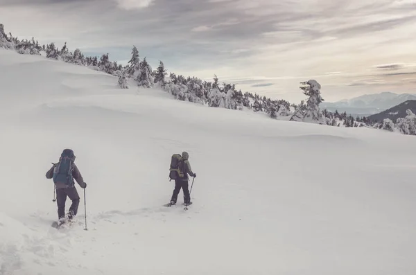Kış Dağlarında Yürüyüşçüler — Stok fotoğraf