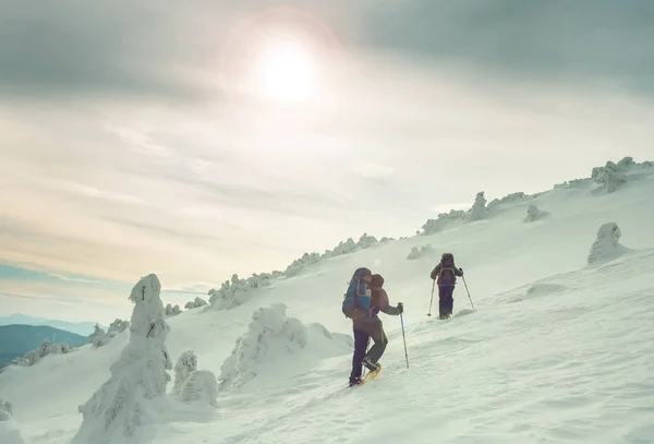 Туристы Зимних Горах — стоковое фото