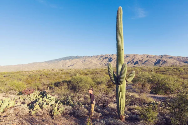 Άνθρωπος Saguaro Εθνικό Πάρκο — Φωτογραφία Αρχείου