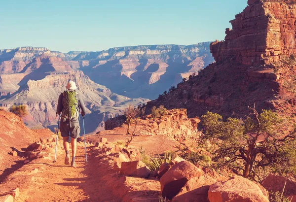 Hike Grand Canyon National Park — Stock Photo, Image