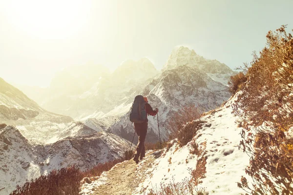 Caminante Montaña Del Himalaya Nepal — Foto de Stock