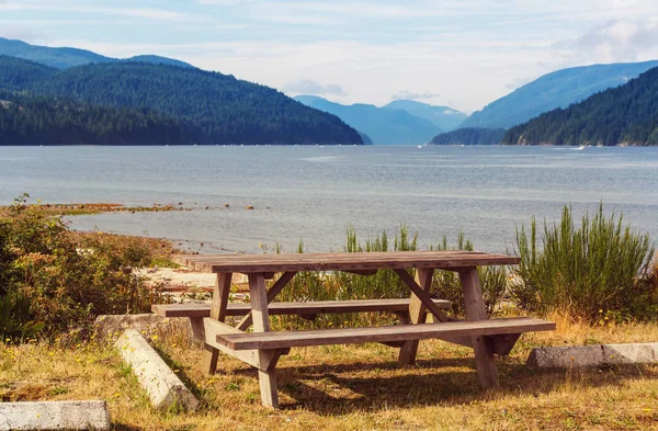 Rain forest in Vancouver island, British Columbia, Canada — Stock Image Rain Forest Vancouver Island British Columbia Canada Stock Picture