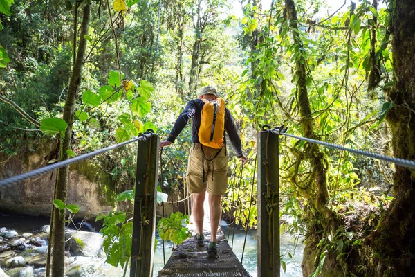 Hiking in green tropical jungle, Costa Rica, Central America