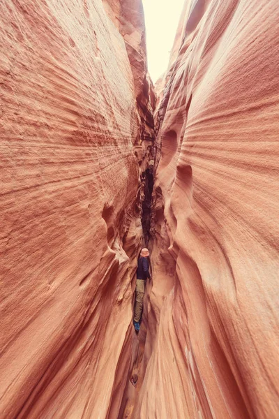 Ranura Cañón Grand Staircase Escalante National Park Utah Formaciones Inusuales — Foto de Stock