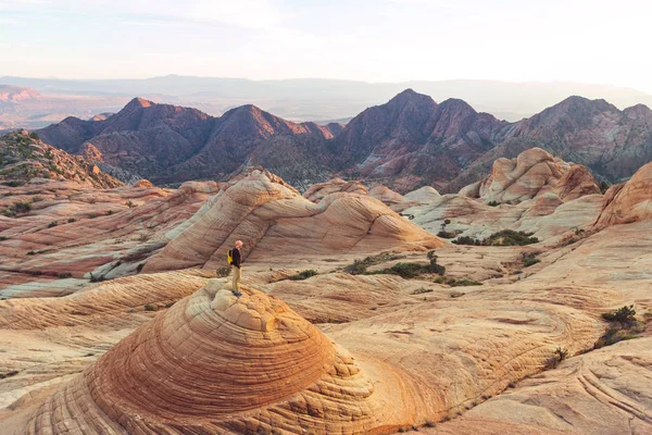 Sandstone Formations Utah Usa Yant Flats — Stock Photo, Image