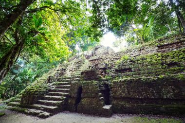 Tikal Ulusal Parkı, Guatemala, Orta Amerika 'daki ünlü antik Maya tapınakları
