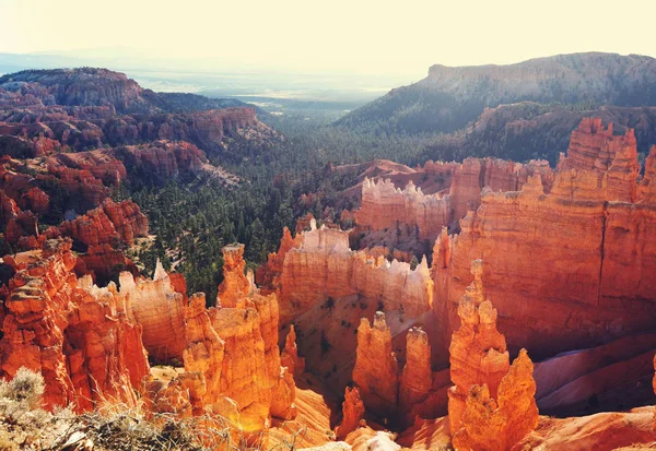 Picturesque Colorful Pink Rocks Bryce Canyon National Park Utah Usa — Stock Photo, Image