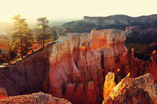 Utah Abd Deki Bryce Canyon Ulusal Parkı Nın Renkli Pembe — Stok fotoğraf