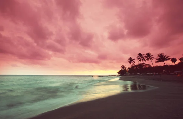 Hawaiian beach — Stockfoto