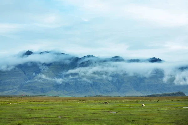 아이슬란드에 있는 산 — 스톡 사진