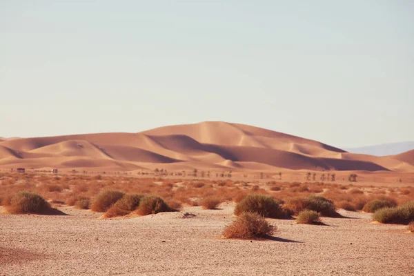 Poušť Sahara — Stock fotografie