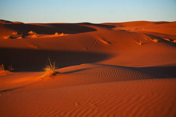 Deserto di sabbia — Foto Stock