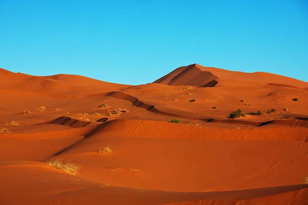 Піщана пустеля — стокове фото