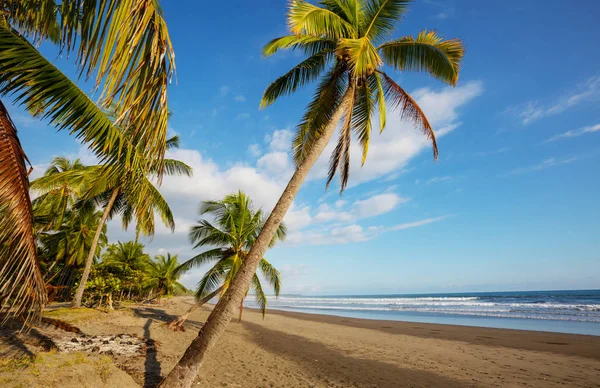 Bella Costa Tropicale Dell Oceano Pacifico Costa Rica — Foto Stock