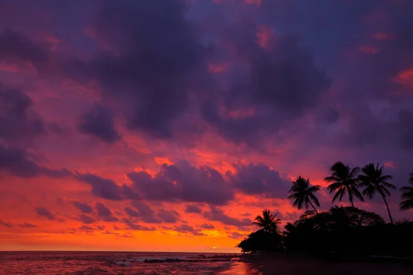 Fantástica Vista Panorâmica Praia Havaiana — Fotografia de Stock