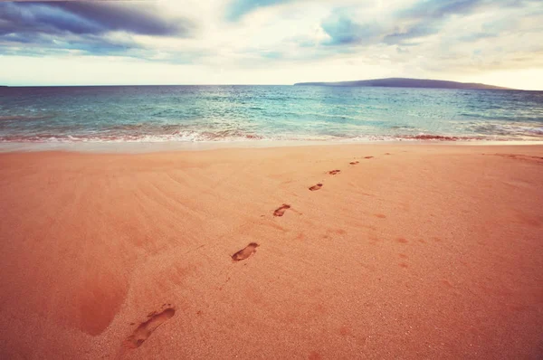 Amazing Piękny Widok Hawaiian Beach — Zdjęcie stockowe
