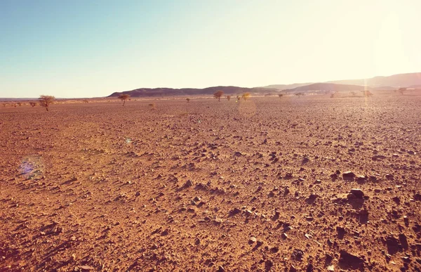 Sahara Pouštní Přírodní Krajina — Stock fotografie