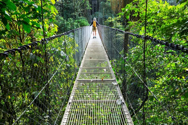 Hiking Green Tropical Jungle Costa Rica Central America — Stock Photo, Image