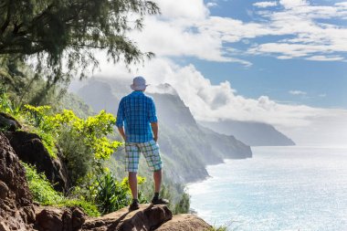Uzun yürüyüşe çıkan kimse ormanda yeşil, Hawaii, ABD izinde