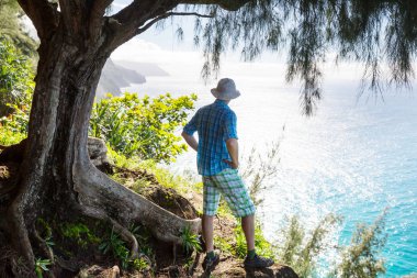 Uzun yürüyüşe çıkan kimse ormanda yeşil, Hawaii, ABD izinde