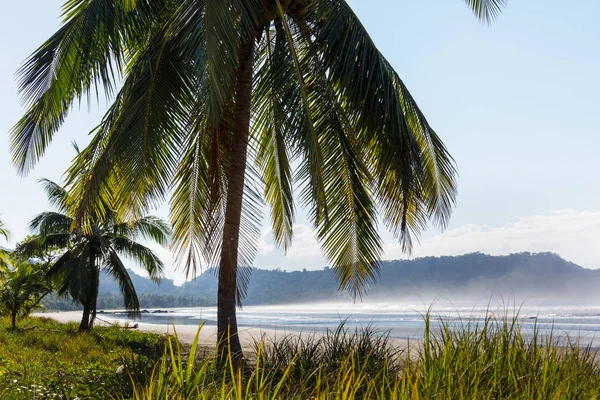 Hermosa Costa Tropical Del Océano Pacífico Costa Rica —  Fotos de Stock