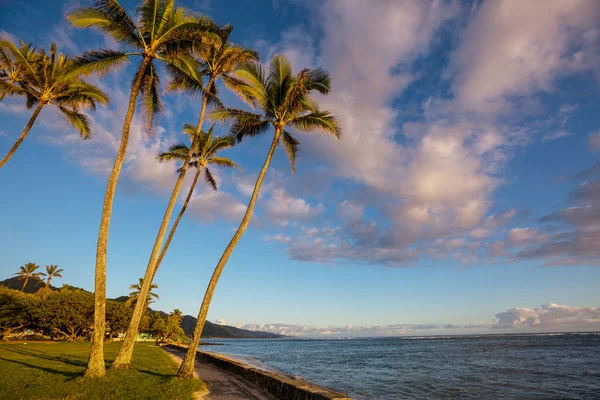 Incroyable Plage Hawaïenne Paysage Nature — Photo