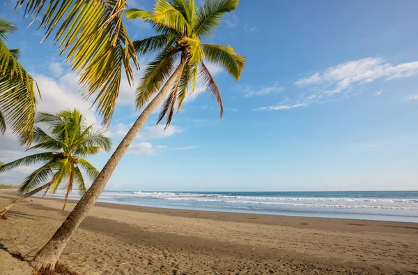 Serenità Sulla Spiaggia Tropicale — Foto Stock