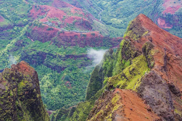 Waimea Canyon Kauai Hawaï — Photo